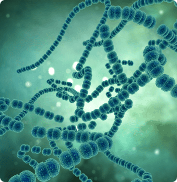 3d-medical-image-with-strep-virus-cells 1 3d-medical-image-with-strep-virus-cells 1